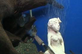 Expoziţie inedită la Acvariul din Constanţa!