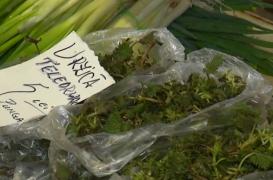 Au apărut urzicile în pieţe. Preţul unui kg e mai mare decât cel al cărnii