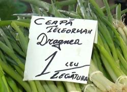 Vremea schimbătoare a aruncat în aer preţurile legumelor! Pe tarabele unui comerciant a apărut... "ceapa Dragnea"