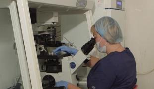 Coadă pentru celule stem. Un pachet care poate însemna viaţa în caz de înbolnăvire costă aproape o mie de euro