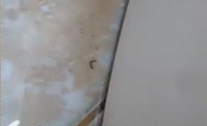 Reacția Spitalului din Galați la imaginile cu viermi filmate de o mamă, în interior