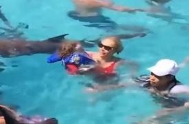 Soţia şi fiica lui Ice-T, înot printre rechini