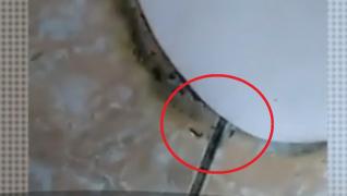 Conducerea Spitalului de Copii Galaţi, în care o mamă a filmat viermi la baie, nu a primit nicio sancţiune