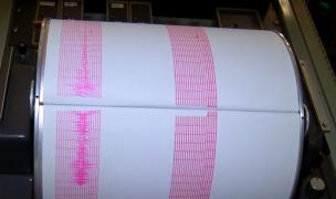 Cel mai mare cutremur din acest an le-a dat fiori românilor. Seismul de 4,6 pe Richter s-a simţit şi în Capitală