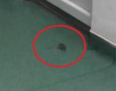 Un şoarece a fost filmat plimbându-se prin salonul unui copil internat într-un spital din Craiova