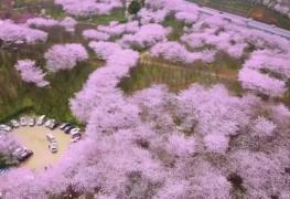 Primăvara face minuni cu natura. Peisajele sunt de o frumuseţe copleşitoare