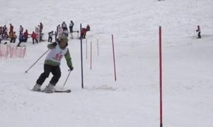 Cupa veteranilor la schi alpin, pe pârtia de la Straja