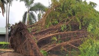 Australia, distrusă de ciclonul tropical Marcus