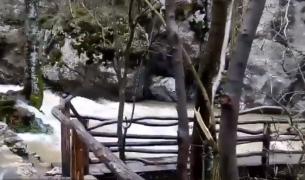 Una dintre atracţiile turistice celebre ale României, Cascada Bigăr e ameninţată de vremea rea din ultima perioadă