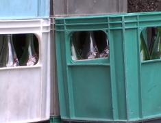 Aducem sticla sau borcanul la magazin, primim garanţia înapoi