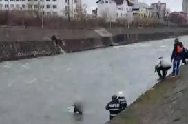 Bărbatul scos din râul Săsar, la Baia Mare, ar fi victima unui scandal într-un triunghi amoros