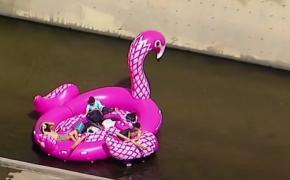 Aventură pe râul Los Angeles cu o barcă sub forma unei păsări flamingo