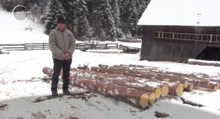 Gest de omenie în vârf de munte. Poliţist impresionat de povestea unui om prins la furat de lemne