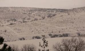 Fenomen extrem de rar în România. În Tulcea şi Galaţi, zăpada căzută a avut nuanţă portocalie