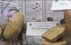 În curând, vom mânca pâine cu urzici. Câţiva tineri au reinventat cel mai consumat aliment