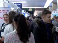 Cele mai căutate joburi sunt în IT, industria auto, consultanță și vânzări