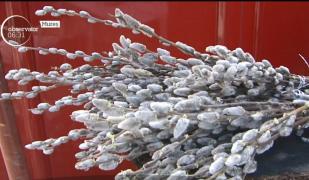 Florii 2018: Tradiţiile catolicilor în marea sărbătoare