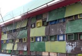 Vremea capricioasă va duce şi la scăderea producţiei de miere, în acest an