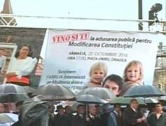 Referendumul pentru redefinirea familiei în Constituţie ar putea avea loc în luna mai
