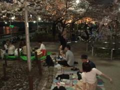 Picnic nocturn sub cireşii înfloriţi din Tokyo