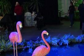 Un orășel din Belgia găzduiește primul festival al scupturilor din ciocolată!