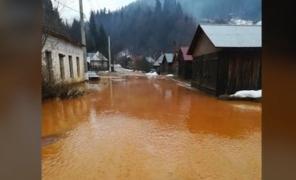 Dezastru ecologic în Rezervaţia Naturală Cheile Lăpuşului