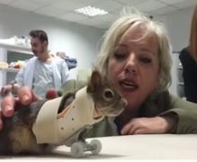 O veveriţă a primit o nouă şansă la viaţă, în Turcia, după ce şi-a pierdut lăbuţele din faţă