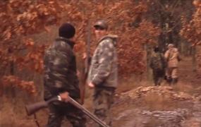 Autorităţile dau undă verde la vânătoare de capre negre, cerbi şi marmote, deşi toate sunt specii pe cale de dispariţie