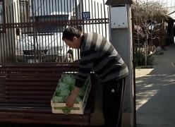 Pe o piaţă sufocată de importuri, afacerea cu legume vândute la poartă înfloreşte tot mai mult
