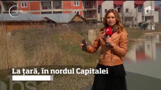 Observator de weekend