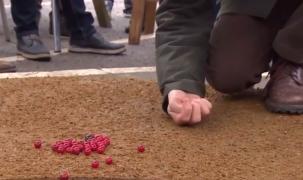 Campionatul mondial pentru jocul cu bile din marmură