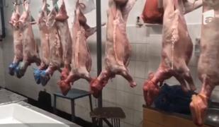 Carne de miel ținută la cald, găsită de Inspectorii de la Protecţia Consumatorului la Constanţa