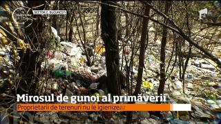 Mirosul de gunoi al primăverii a cuprins Capitala