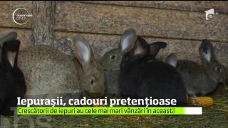 Vânzarea iepuraşilor de Paşte, o nouă afacere