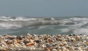 Picnic la malul mării, de Paşte. Turiştii au luat masa direct pe plajă