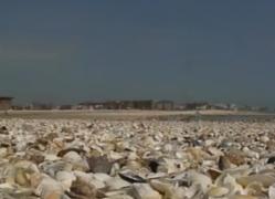 Încep pregătirile pentru 1 Mai la malul mării. Hotelierii anunţă primele ofere