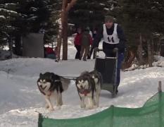 Un preot romano-catolic din Bistriţa Năsăud, campion mondial la atelaje trase de câini