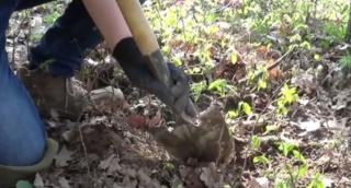 Descoperire arheologică uriaşă lângă Bistriţa. Podoaba scoasă la lumină chiar în ziua de Paşte