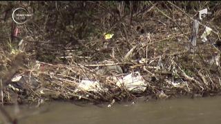 Primarul care recompensează cu bani actele civice