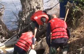 Dezastru ecologic pe râul Mureş. O tonă de ulei, scursă din transformatoarele termocentralei de la Iernut, a ajuns în apă