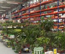 Românii au prins gustul grădinăritului! La ce costuri de ridică o grădină de vis