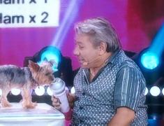 "iUmor", show-ul talentelor nebănuite