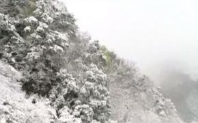 Iarnă în toiul primăverii, în sudul-vestul Chinei! Pomii înfloriţi acoperiţi de zăpadă au creat un adevărat spectacol al naturii