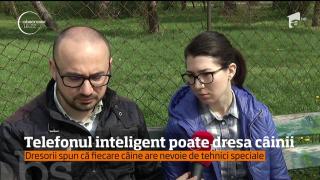 Telefonul inteligent poate dresa câinii