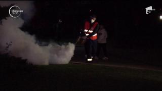 A început "bătălia" cu țânțarii. Parcurile și spațiile verzi din București sunt pulverizate cu insecticide