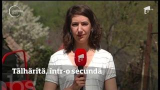 Observator 13 Weekend