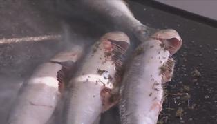 Peștele, preparatul preferat în minivacanța de 1 mai, pe litoral