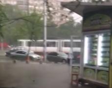 O vijelie de câteva minute a blocat Capitala. Mai mulţi copaci au fost puşi la pământ
