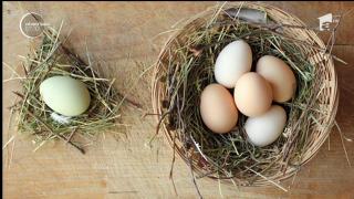 Un adolescent din România se află printre câştigătorii unui prestigios concurs de fotografie din Marea Britanie