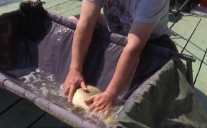 Cum îşi petrec pescarii mini-vacanța de 1 Mai